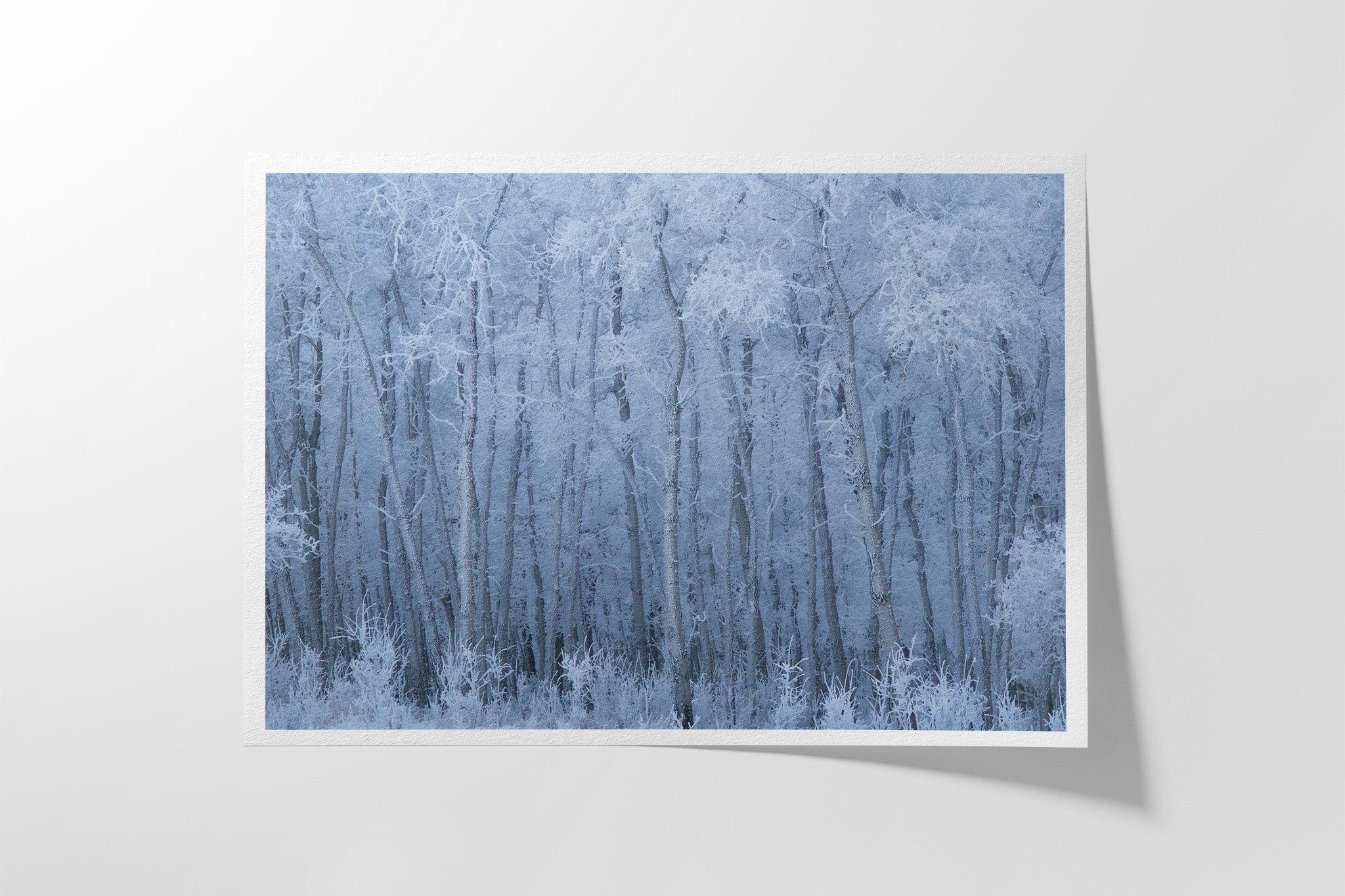 Veil of Frost Hahnemühle fine art paper print — signed limited edition Canadian Rockies winter photography by James Andrew