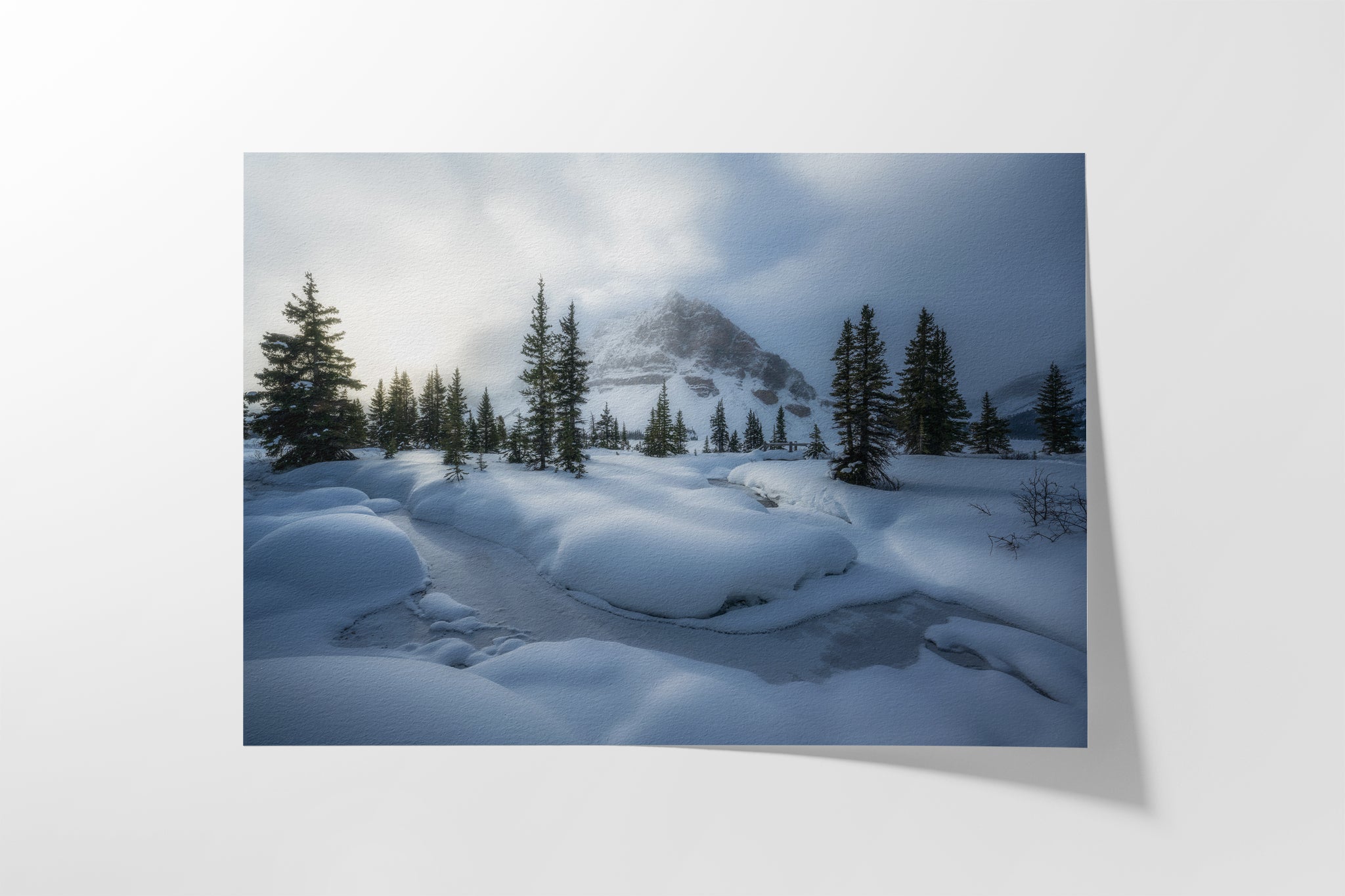 Winter Passage Hahnemühle fine art paper detail — archival cotton rag print by James Andrew Fine Art