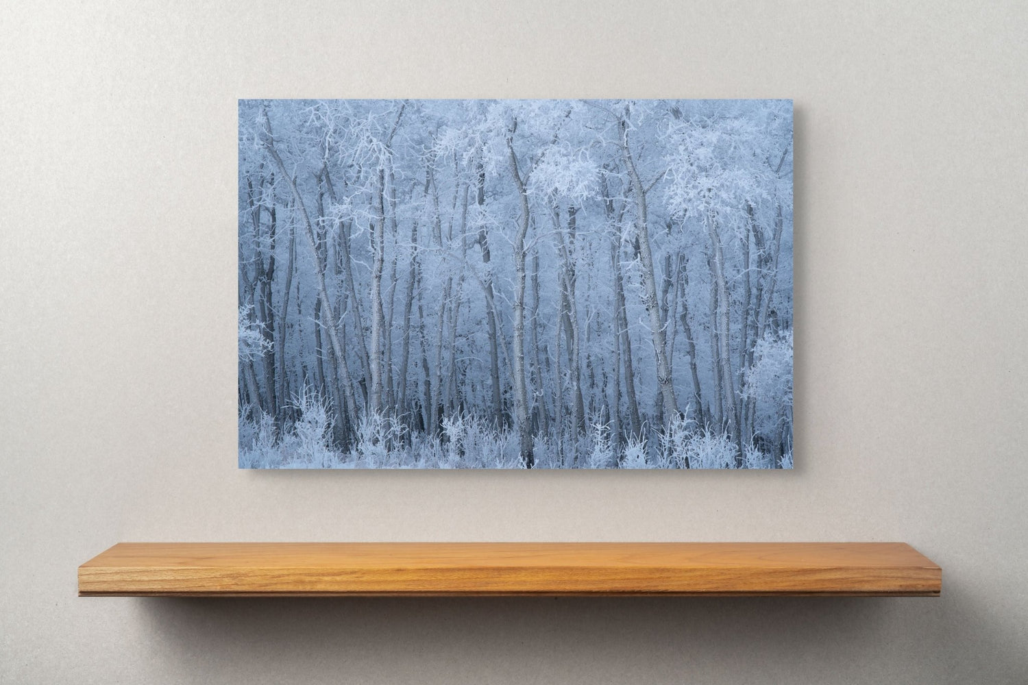 Deep Winter - James Andrew fine art landscapes