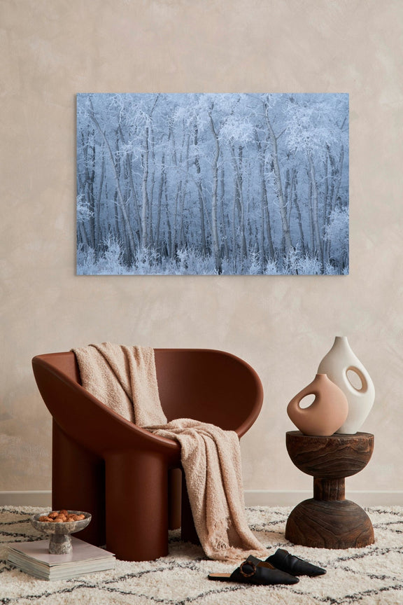 Deep Winter - James Andrew fine art landscapes