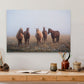 Mystic Herd - James Andrew fine art landscapes