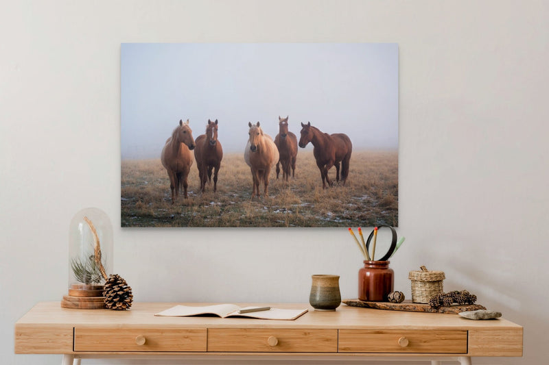 Mystic Herd - James Andrew fine art landscapes