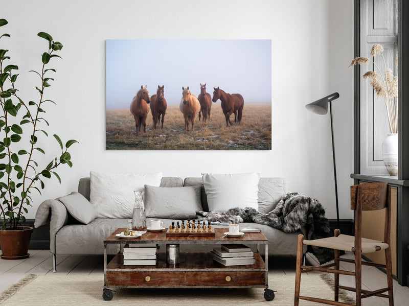 Mystic Herd - James Andrew fine art landscapes